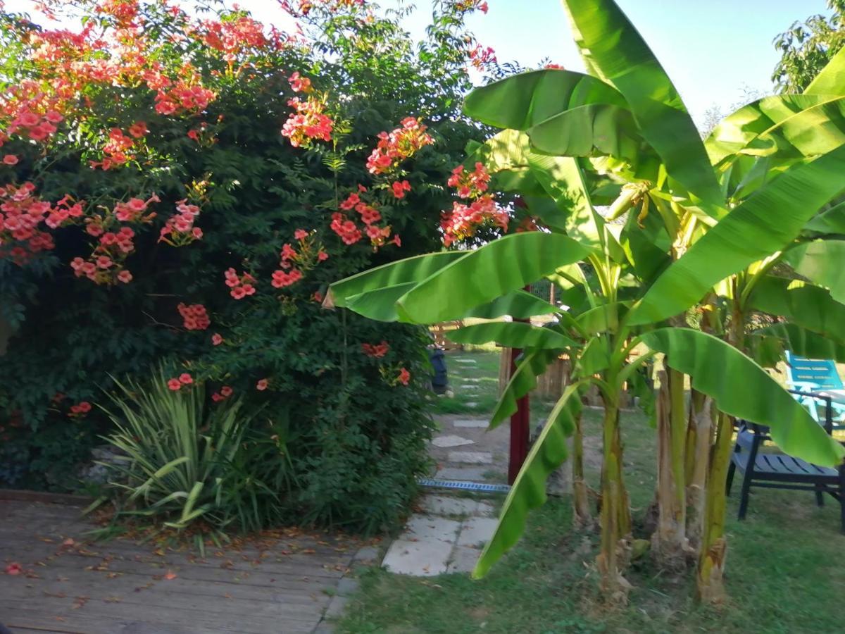 Bed and Breakfast Jacuzzi Massage Sur Rdv,Duo,Reiki,Californien, Reflexologie Plantaire, Et Bouteille Mousseux Offerte Ferolles Zewnętrze zdjęcie