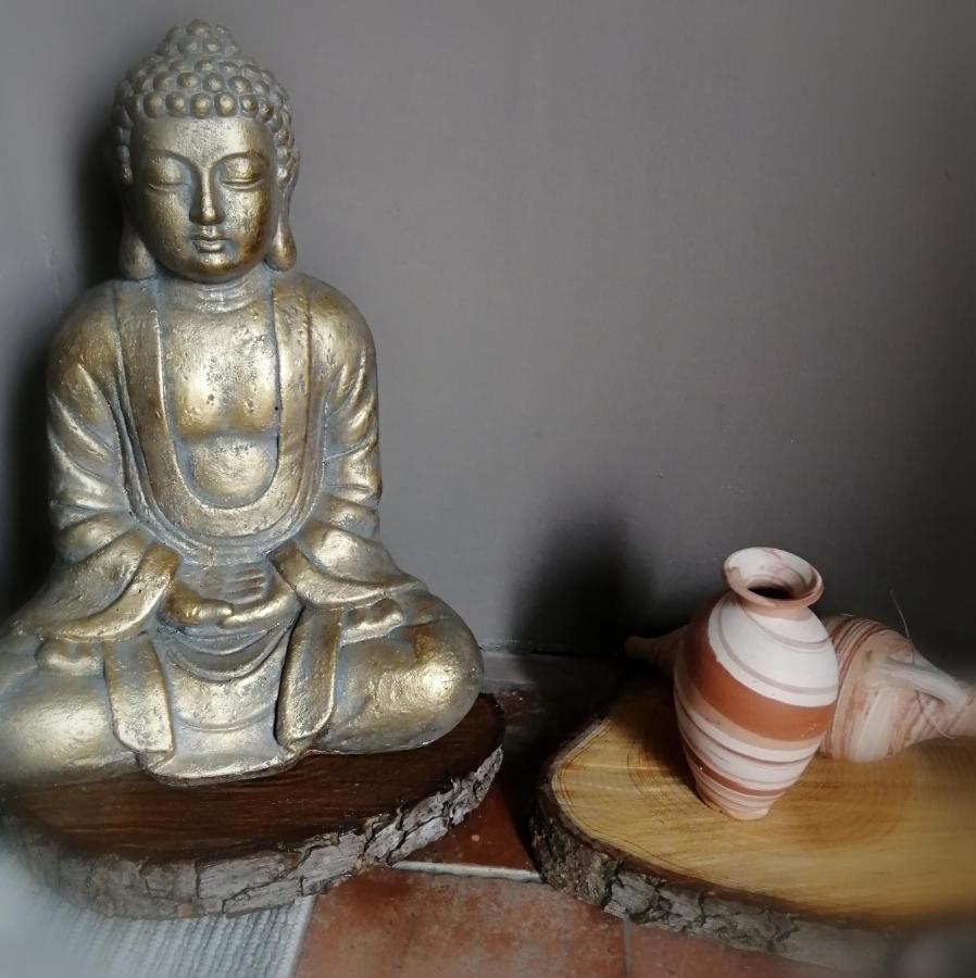 Bed and Breakfast Jacuzzi Massage Sur Rdv,Duo,Reiki,Californien, Reflexologie Plantaire, Et Bouteille Mousseux Offerte Ferolles Zewnętrze zdjęcie