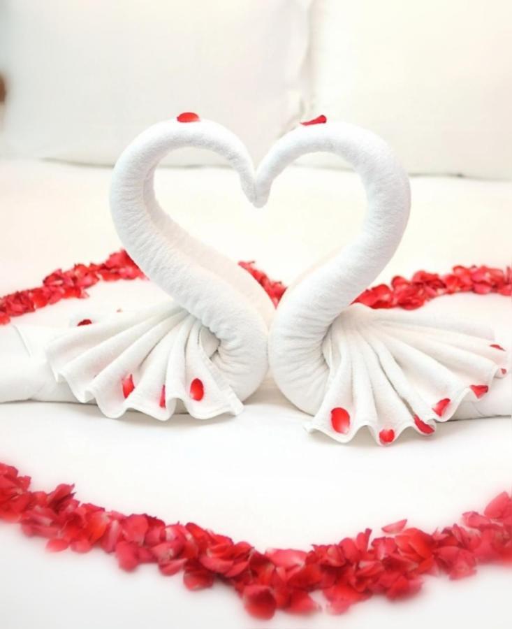 Bed and Breakfast Jacuzzi Massage Sur Rdv,Duo,Reiki,Californien, Reflexologie Plantaire, Et Bouteille Mousseux Offerte Ferolles Zewnętrze zdjęcie